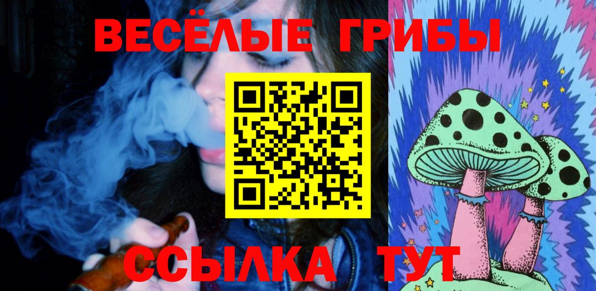 Галлюциногенные грибы Psilocybine cubensis Дивногорск