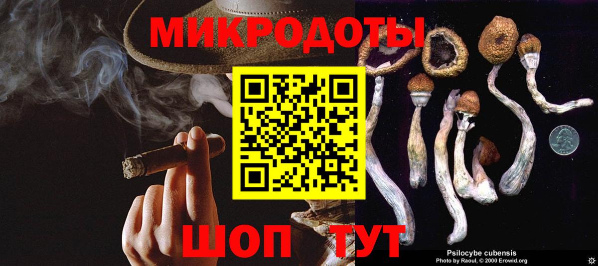 Дивногорск  Галлюциногенные грибы Cubensis  Вход с VPN 